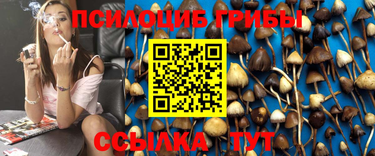 Псилоцибиновые грибы ЛСД Азов